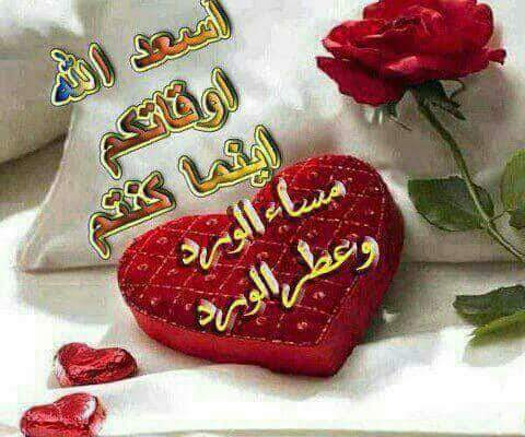 Yousri Abdelfatah (@yousriabdelfat2) on Twitter photo 