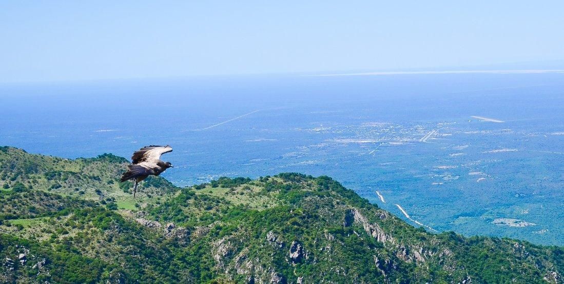 #LaRioja Quebrada de los Cóndores, al alcance de la mano ow.ly/K9g930iJOCT