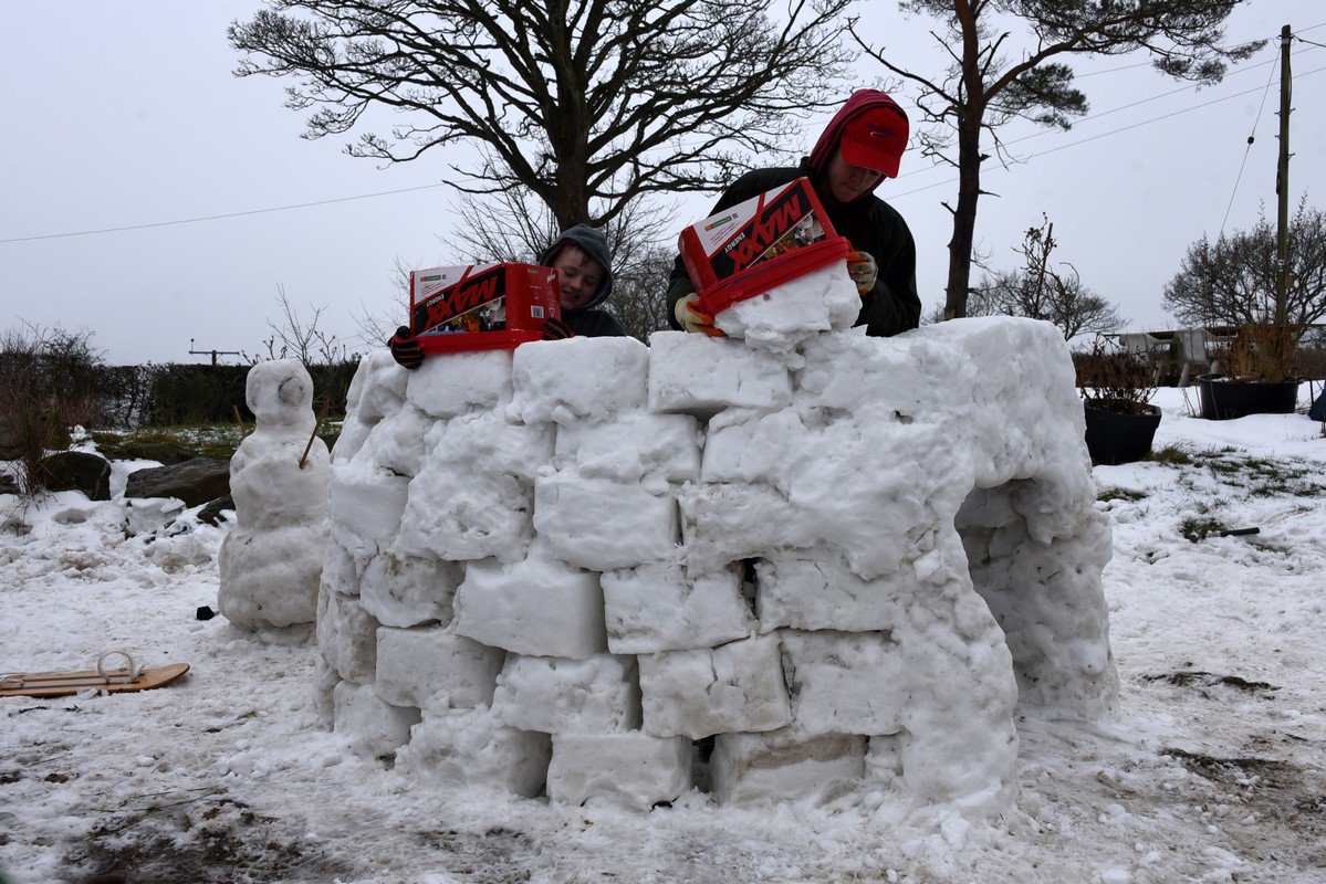 ruthreesphoto's tweet photo. @Rumenco_ltd essential for the sheep #BeastFromTheEastireland and the tubs make great snow cubes for an igloo #MaxxLicks #Rumevite https://t.co/v6sKolbOBR
