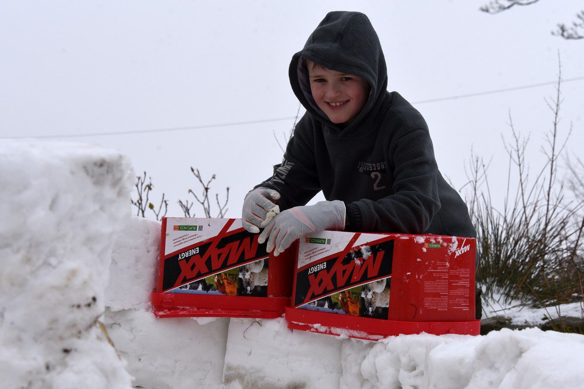 ruthreesphoto's tweet photo. @Rumenco_ltd essential for the sheep #BeastFromTheEastireland and the tubs make great snow cubes for an igloo #MaxxLicks #Rumevite https://t.co/v6sKolbOBR