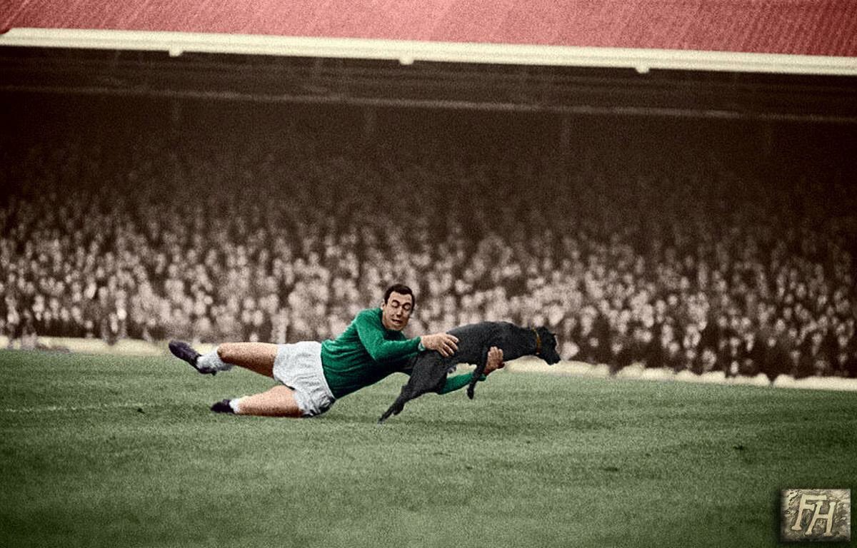 OldFootball11's tweet photo. Photo colorized by #DarioRomano
League Division One 1965/66
#FilbertStreet #Leicester;
#LCFC goalkeeper #GordonBanks during #LeicesterCity v #ManUtd (0-5);
#LCFCvMUFC https://t.co/pUaMZydXsT