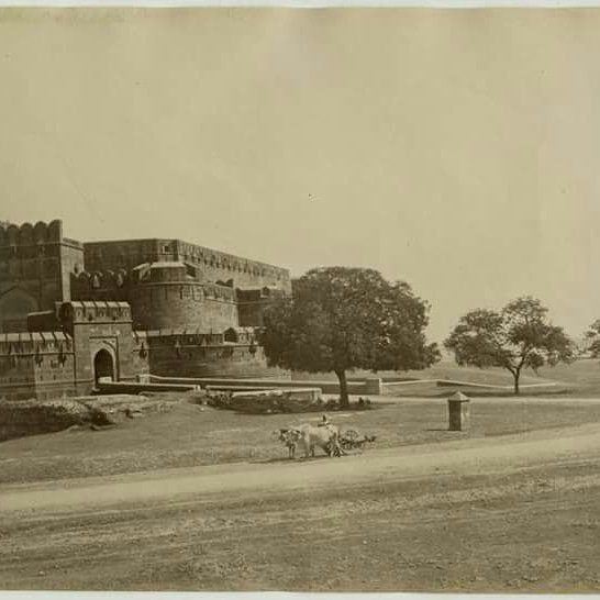 Osman Yildirim (@osmanyi51070694) on Twitter photo 