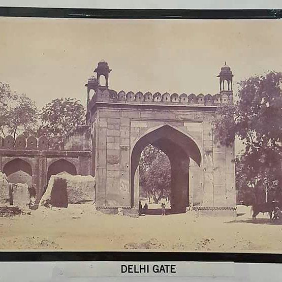 Osman Yildirim (@osmanyi51070694) on Twitter photo 