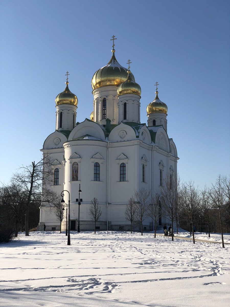 (image)