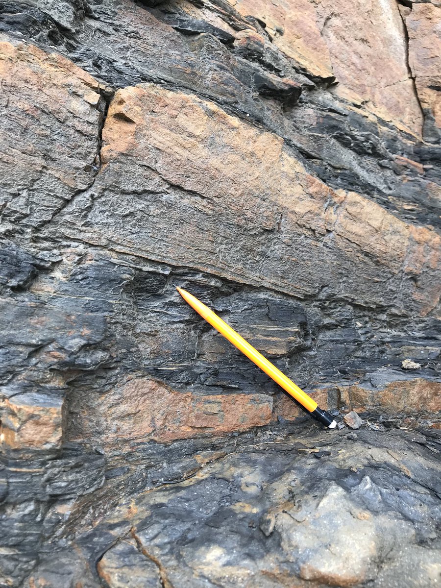 SedResQ's tweet photo. Inverse grading within the Lower Black Flysch at Cabo Matixaxto, Bermeo, northern Spain. #geology #phdlife #Spain https://t.co/x49LqscU7o