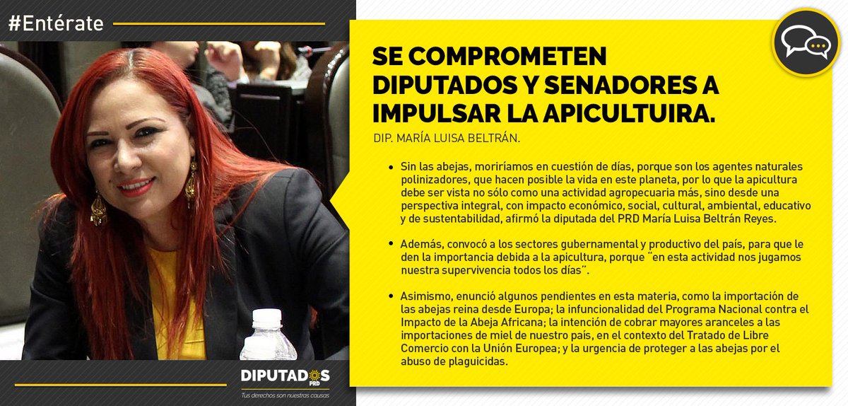 GPPRDmx's tweet photo. #Entérate Es de suma importancia que los sectores gubernamental y productivo del país le den la importancia debida a la apicultura y apliquen políticas en su beneficio, señala @Luissabeltran https://t.co/McU1rZagFJ