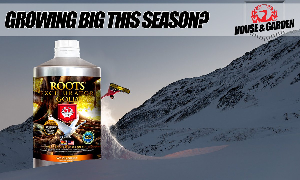 HNGNutrients's tweet photo. It is#SendItSunday! Plant with confidence and push your roots to the limit with #RootsExcelurator Gold &amp; Silver, now available in five liter bottles!

#GrowYourOwnSuccess with #HouseAndGardenNutrients available at the finest #Hydroponic &amp; #Gardening centers #WorldWide. https://t.co/sVIlehNETf