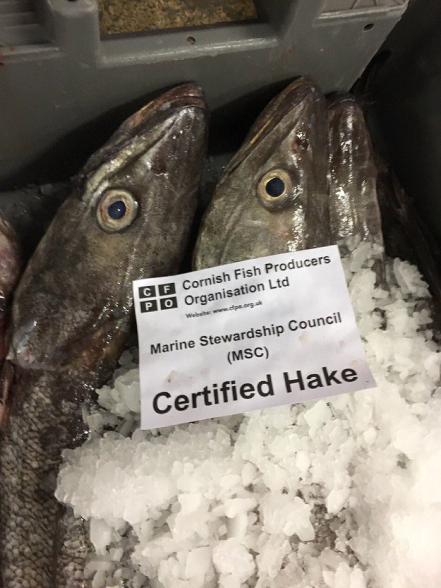 NewlynFishing's tweet photo. #FreshCornish Landings Of Sustainable #CornishHAKE &amp; #CornishPollack by @charismapw45 + Quality Inshore Mix Selling on MonAmMkt prior to UK Distribution!! #shoplocal @NFFF_UK https://t.co/6qImOOsILi