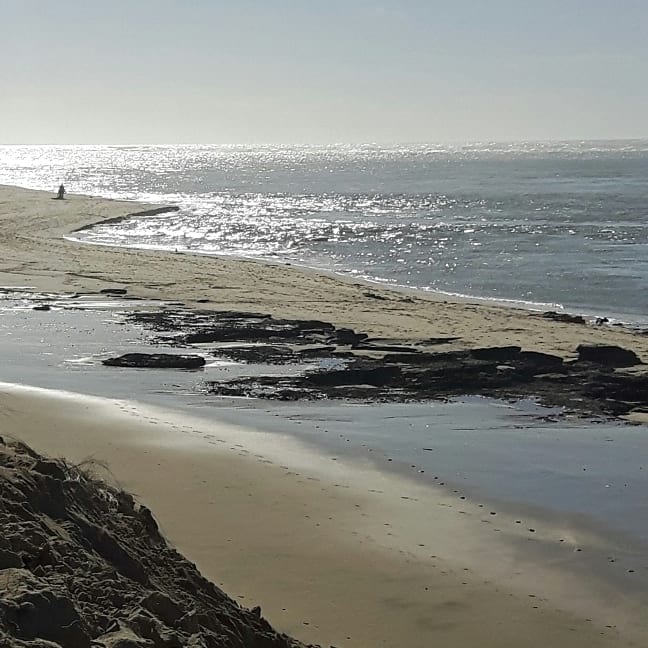 MSabrina52's tweet photo. Sortie du dimanche #sun ☉ #playa #plagedupetitnice #latestedebuch #4mars @EspritBassin @bassin_arcachon @Chouettebassin https://t.co/BNk3RS7fxI