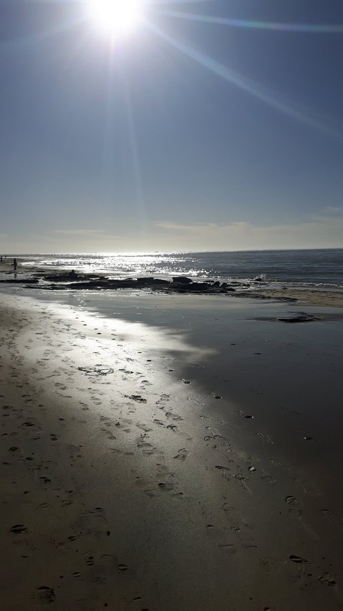 MSabrina52's tweet photo. Sortie du dimanche #sun ☉ #playa #plagedupetitnice #latestedebuch #4mars @EspritBassin @bassin_arcachon @Chouettebassin https://t.co/BNk3RS7fxI
