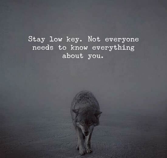 wordstionary's tweet photo. Stay low key. https://t.co/bHIIgGDH3z