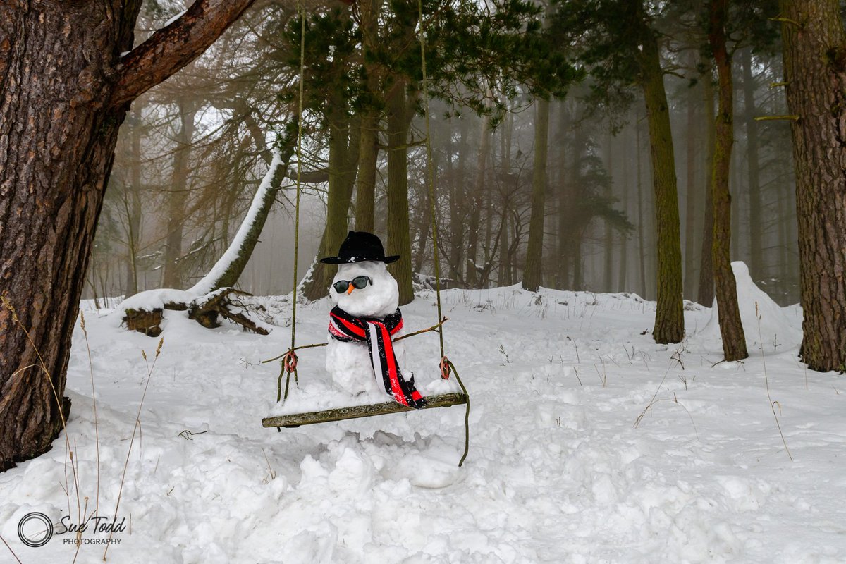 SueToddPhotos's tweet photo. Snowman on a swing - its what happens when you are a photographer who is snowed in #Snowmageddon #photographer #photooftheday https://t.co/CkrH4PYQ38