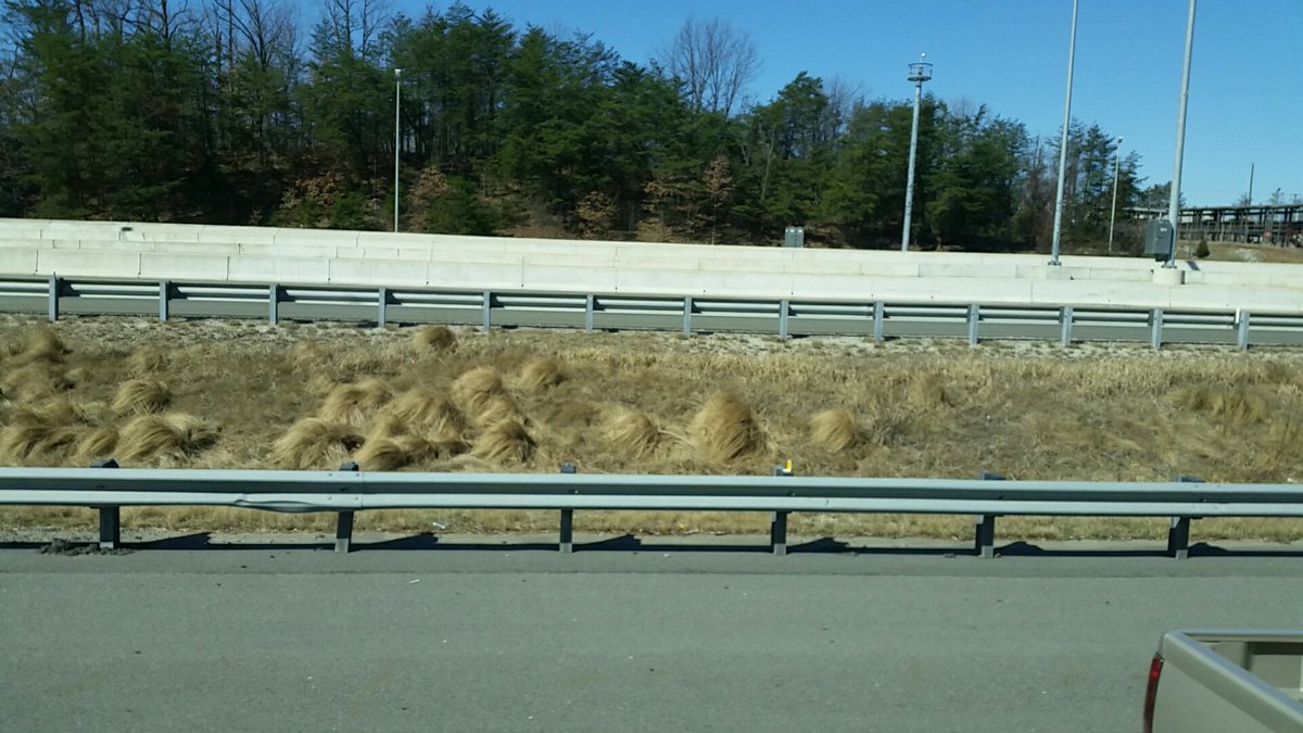 ahennessy97's tweet photo. We're driving into D.C. and I'm pretty sure I found where Trump grows his hair... https://t.co/JLxizK9UqK
