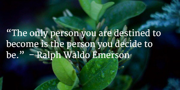 elaine_perry tweet picture