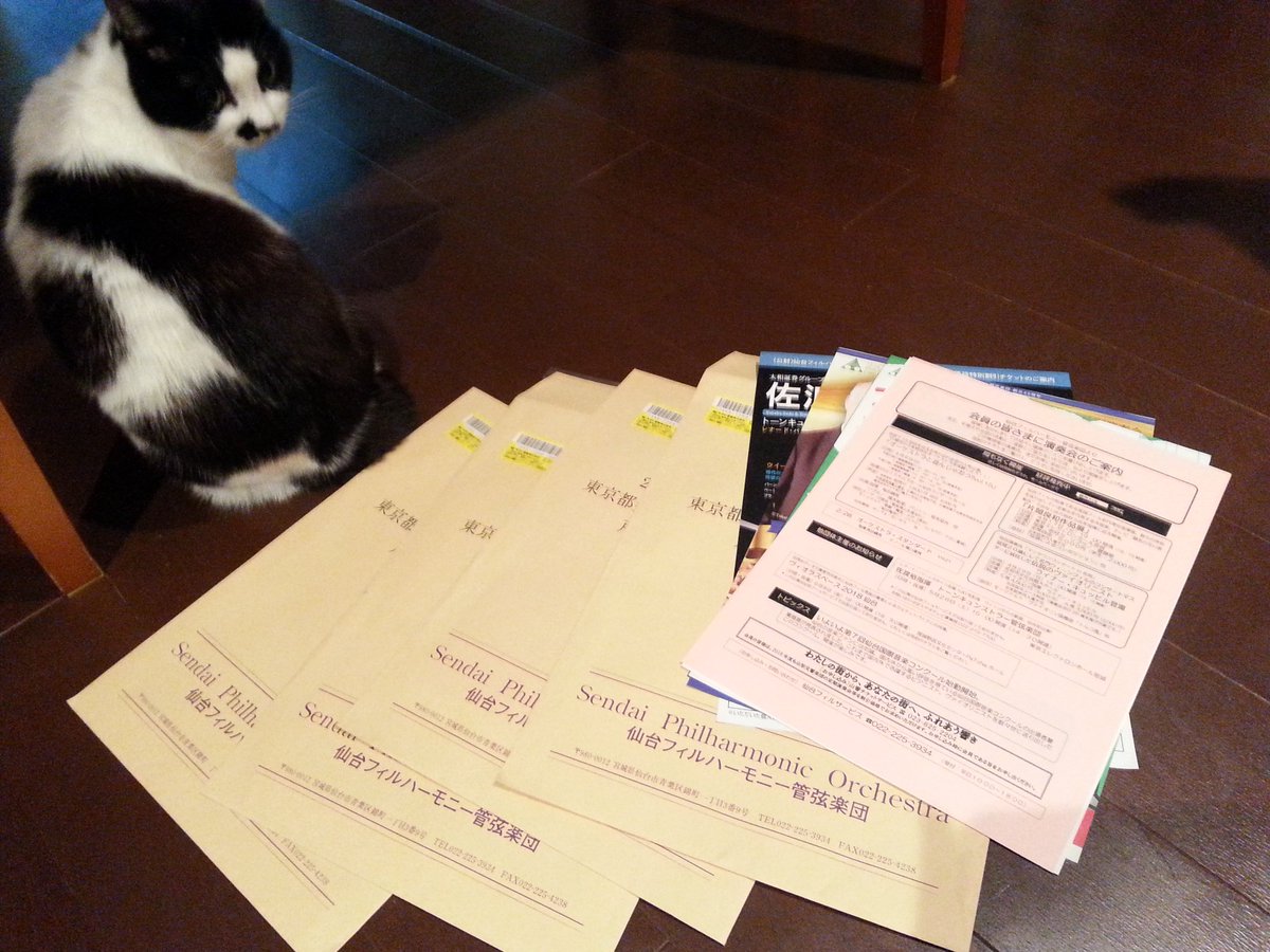 ねこったー Spo Nekotter Twitter