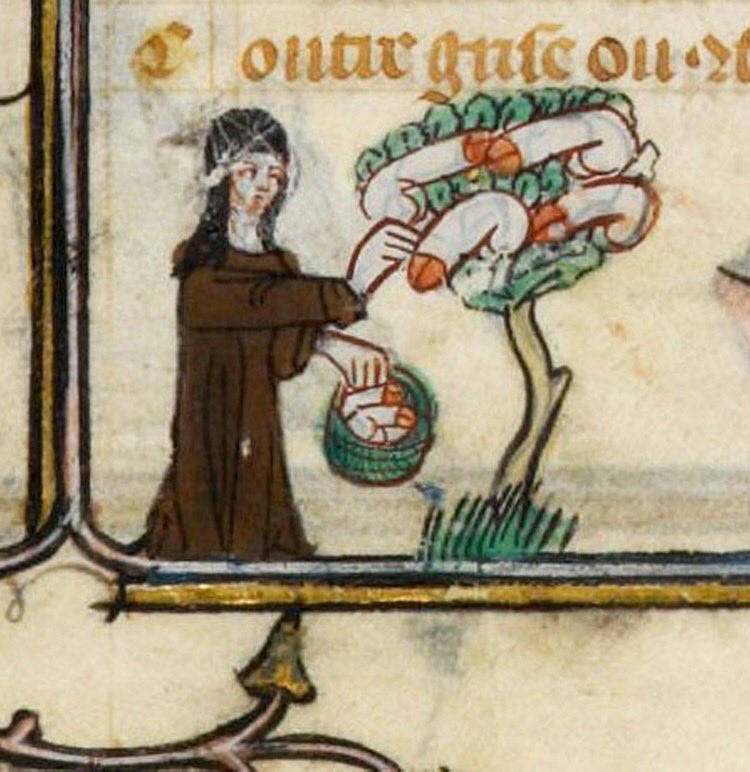 WhoresofYore's tweet photo. “What are we to think about witches who shut up penises in what are sometimes prolific numbers, 20 or 30 at a single time, in a bird’s nest or some kind of box, where they move about in order to eat oats and fodder, as though they were alive?”

‘Malleus Maleficarum’ (1487) https://t.co/4OuFPyJHkS