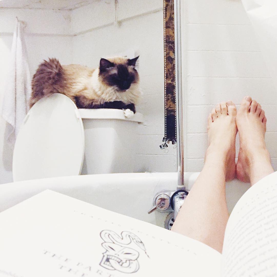 Weekend recap #solidgoldpets