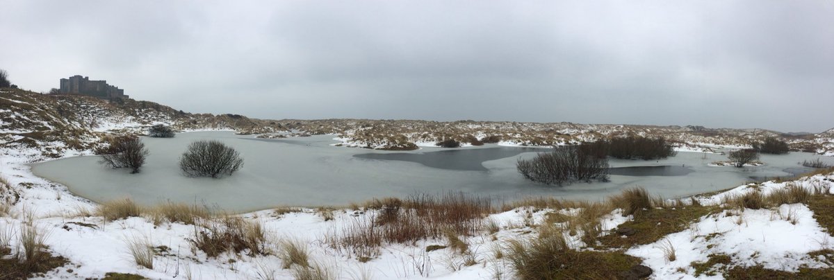 rnbeech's tweet image. Went for little afternoon adventure with my little one and captured this little shot @ImpactPRM @alnwickgazette @Bamburgh_Castle  👬👣📷👀🏰❄️❤️ #BamburghOnIce #Frozen #Beautiful #Northumberland #iPhone #NoFilter