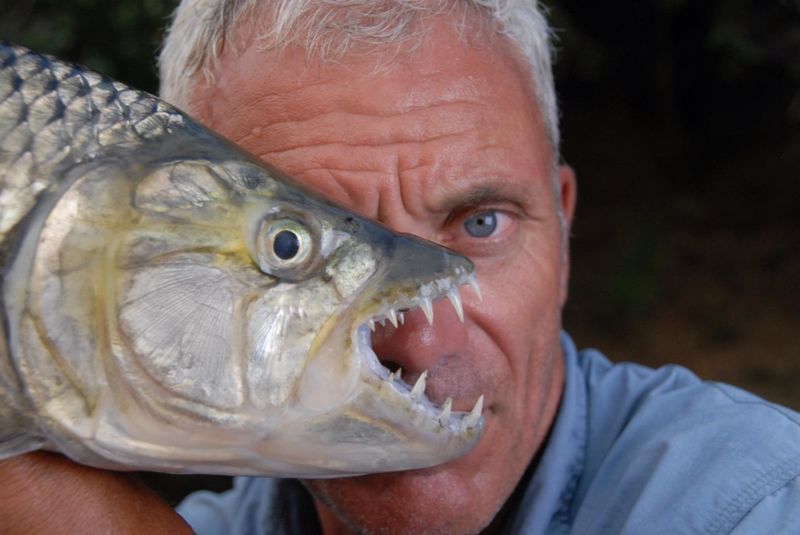 KaribaHolidays's tweet photo. #JeremyWade, author of #RiverMonsters and often described as "the greatest angling explorer of this generation", loves #kariba. Obession, adventure and very big fish! #visitKariba, #visitZimbabwe, #BePleasured! https://t.co/aW8kSMuJWv