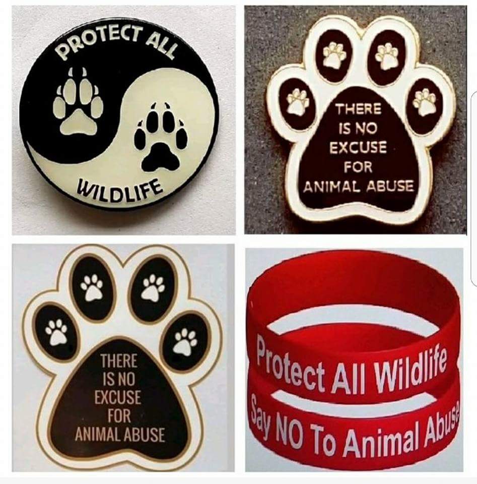 Protect_Wldlife's tweet photo. "If you stop the trade, you stop the demand for ivory. The ivory trade ANYWHERE is a threat to #Elephants EVERYWHERE!" ~ @Slash

Show you care about #wildlife with a 'PROTECT ALL WILDLIFE' Badge, Car Sticker, Wristband or Conservation Pack available at https://t.co/eonprRXSCT 🐾 https://t.co/ZDtbWi6FBR