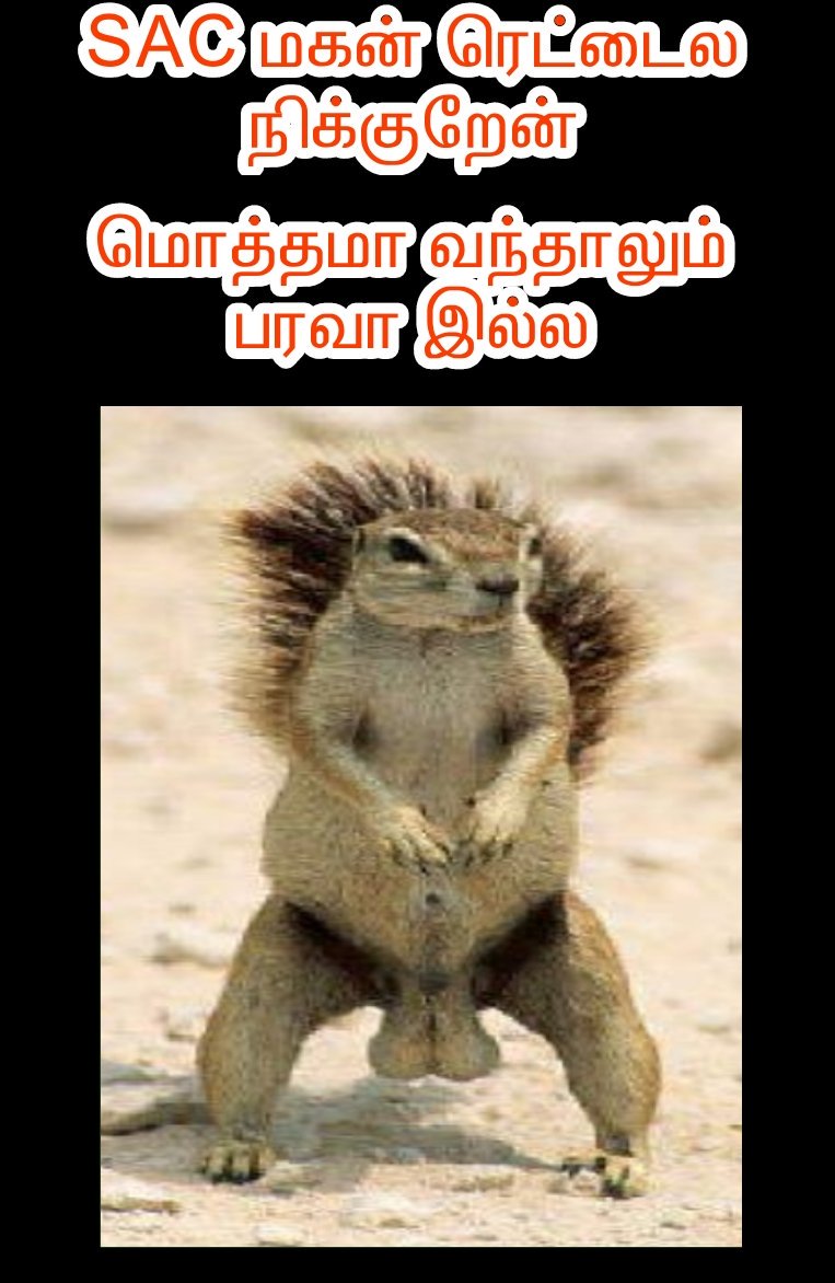 ajithAKthala's tweet photo. #VikatanAwards
#BayanthagoliVIJAYFANS
Vivegam teaser @ #REALTIMEWORLDrecord
pannathoda vilaivu
#mersal@Paid likes and reel records,Now #kaala @ #REALTIMErecord,Parthu anil kunji gal erichal aarambam. Athan vilaivu
#BayanthagoliVIJAYFANS.It's begin🖕
Don't play others hard work🙏 https://t.co/n9M4qpVAC9