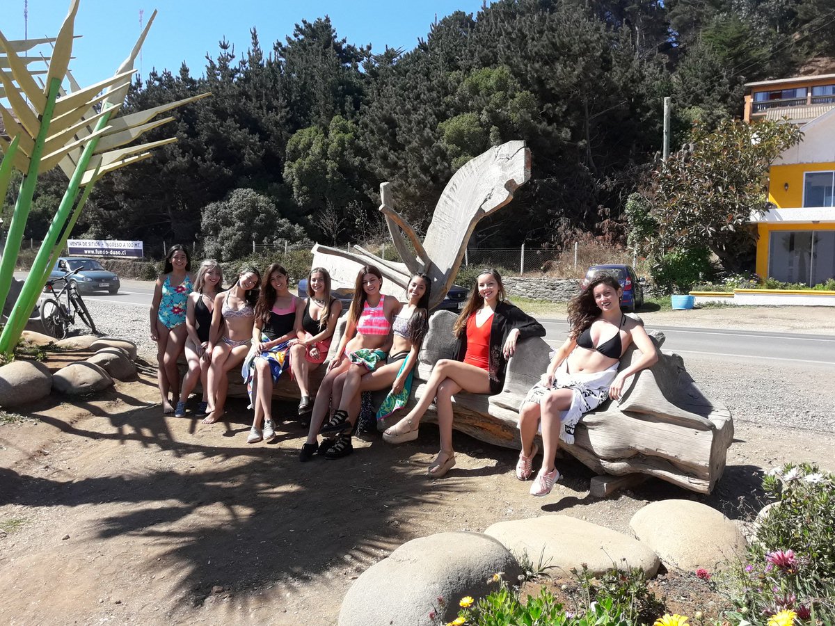 CuricoTurismo's tweet photo. Candidatas a TODA COSTA ...el intenso calendario de actividades de las 9 semifinalistas a Reina de la Vendimia 2018 #modoreinas #ilocaduaolipimavida https://t.co/1Oi8Godzqd
