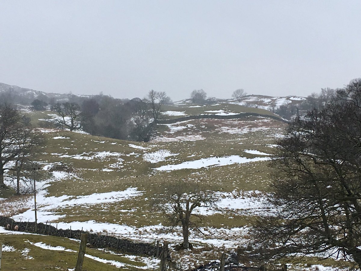 Signs of spring in the #LakeDistrict today #BigThaw