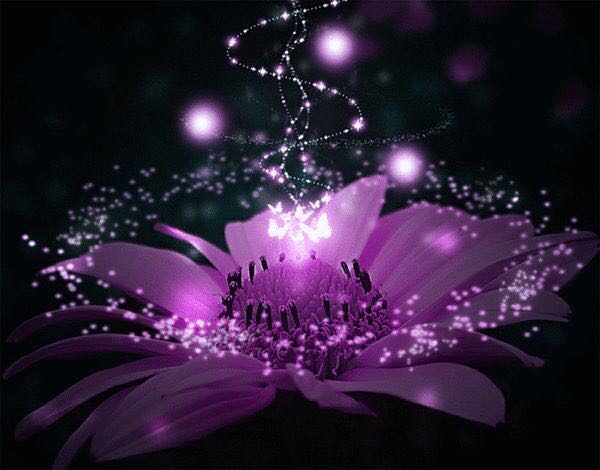 <a href="/rahilasad4/">راحيل</a> <a href="/saraa4823/">سارة احمد</a> مساء الورد