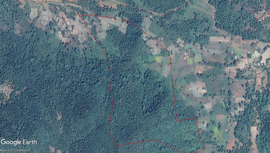 ForestRightsAct's tweet photo. #Odisha, #Keonjhar: Can you believe that Rs. 15 lakhs and 56,000 plants were put into this shifting cultivation fallows of PVTGs Juangs, Village Kalanda, as compensatory afforestation in 2012, violating #forestrightsact . #CAFScam @moefcc @TribalAffairsIn @ncsthq @narendramodi https://t.co/nm85IygtuS