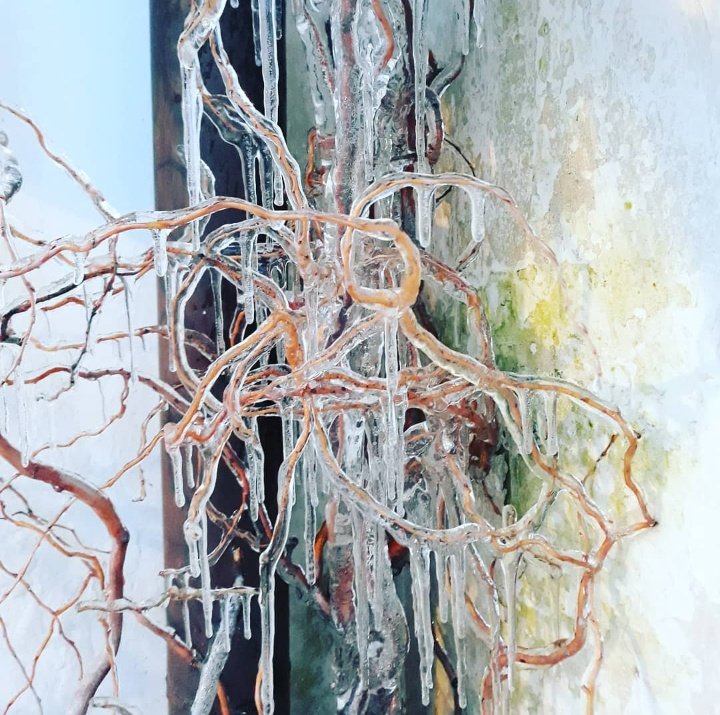 NLaketa's tweet image. U dvorištu #vrba ❄