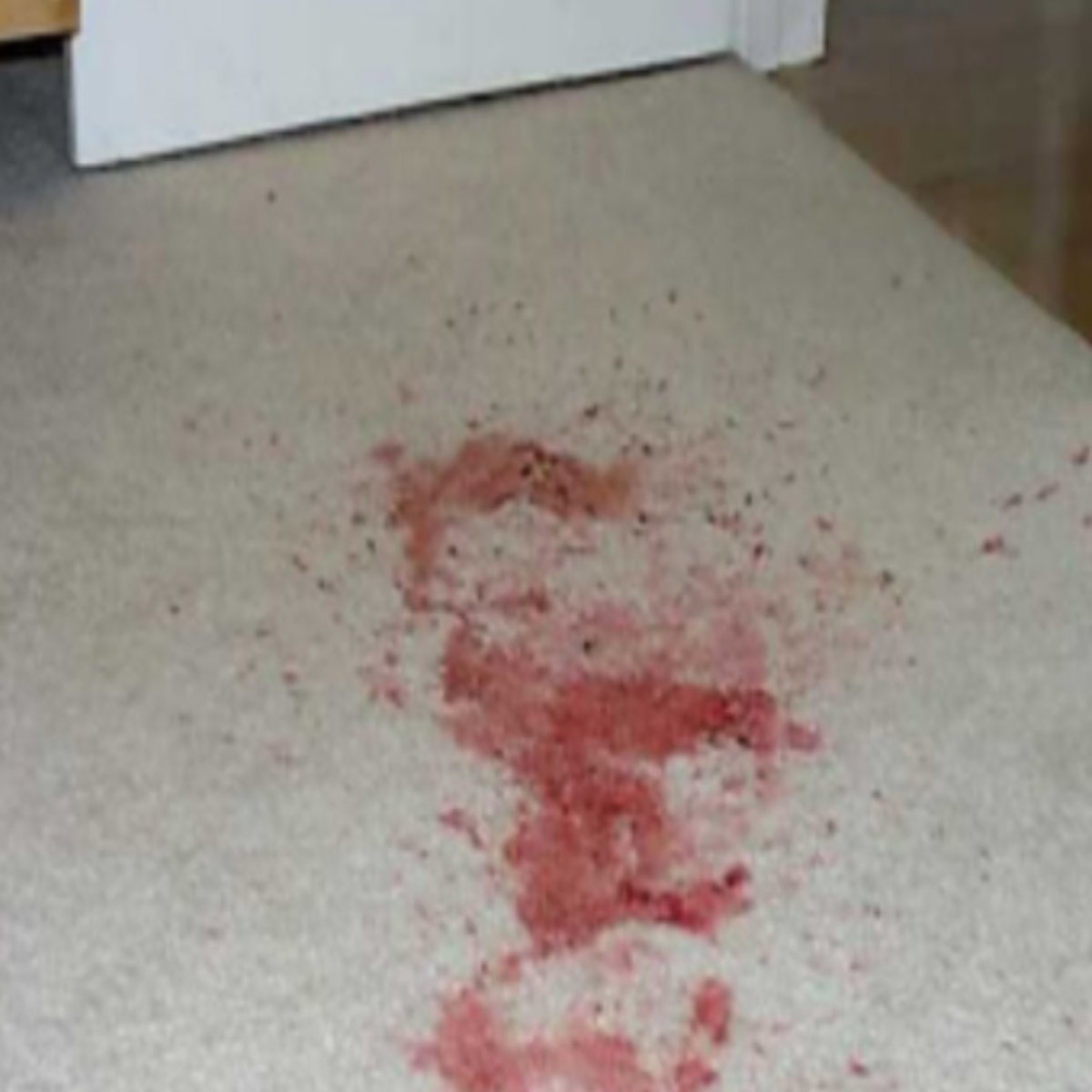 CarpetCannon's tweet photo. Red stain removal https://t.co/Anx0SJyx53