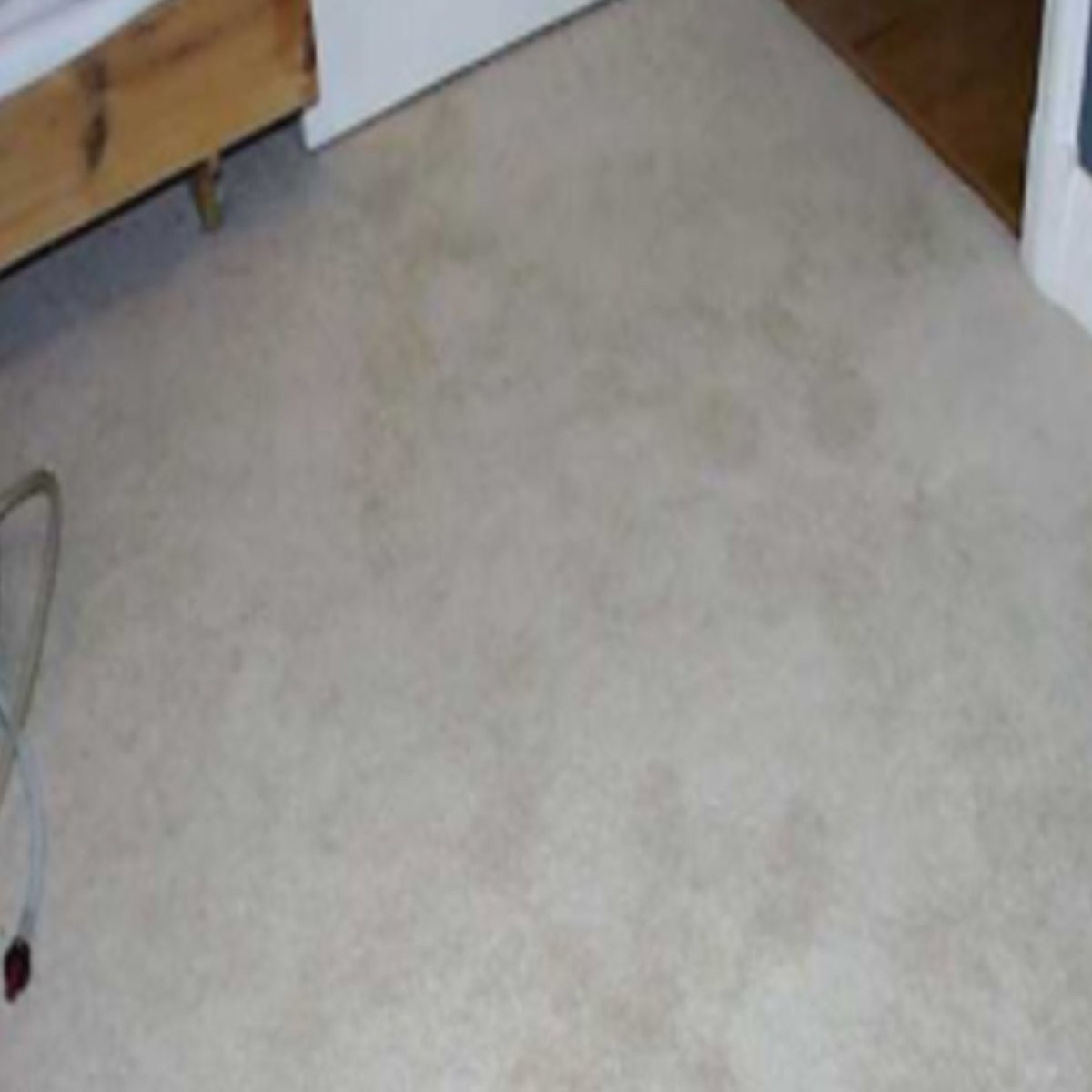 CarpetCannon's tweet photo. Red stain removal https://t.co/Anx0SJyx53