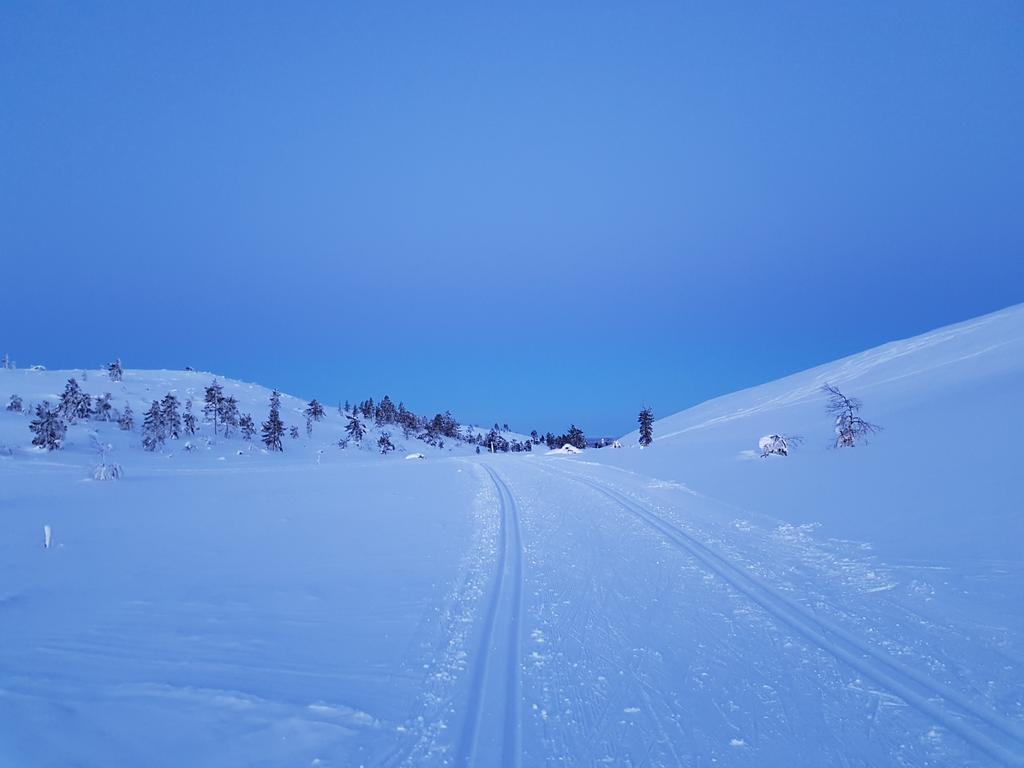 Kevättalven odotetuin hetki 😃 #Ylläs #hiihto #suunnistus