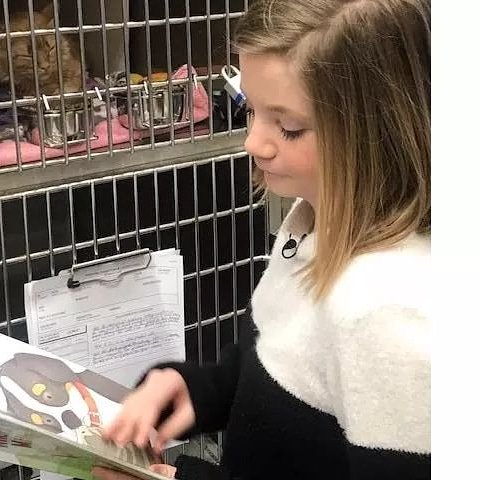 cani7lupus's tweet photo. #myinspiration
#ashleyperryshelterreadingprogram https://t.co/MaMpVPSlbQ 
https://t.co/CkWS2LmHlv
#onebyonemakingadiffernce
#muskegonhumane @anchoragealaska https://t.co/KXuT7mWYFW