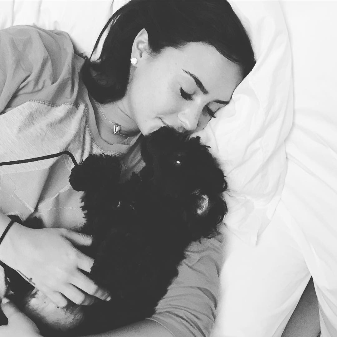CryBabyxDevonne's tweet photo. Last day to vote guys! #iHeartAwards #CutestPet

RT to vote for #Batman! https://t.co/c2Tb3elgVi