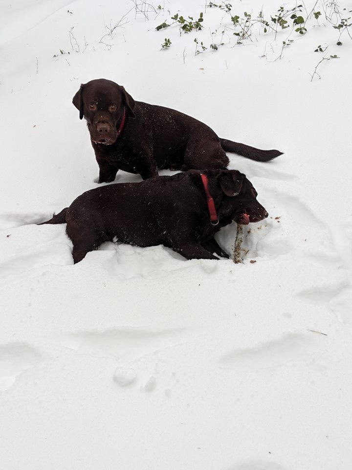 treecontrol8's tweet image. End of another @CardiffDay ...#TripleT have had such a wonderful weekend.