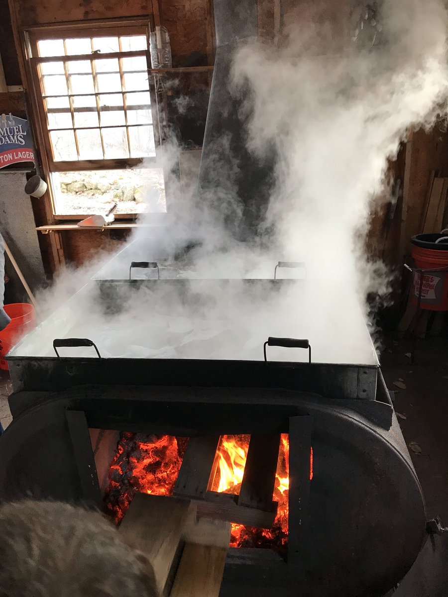 _Ginny4's tweet photo. First boil in the #sugarshack yesterday ! #maplesyrup #maplesugaring #sap #nh #ilovenh #nhmaplesyrup #boilingseason #hopeyoulikepancakes https://t.co/5uRNKCRAGr