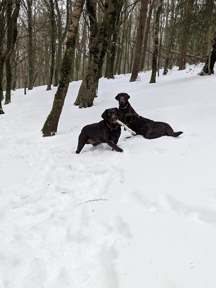 treecontrol8's tweet image. End of another @CardiffDay ...#TripleT have had such a wonderful weekend.