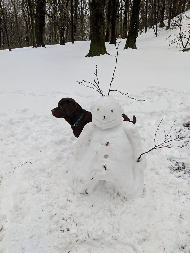 treecontrol8's tweet image. End of another @CardiffDay ...#TripleT have had such a wonderful weekend.