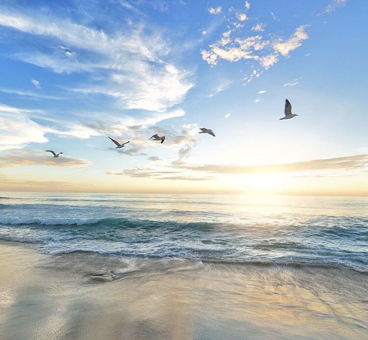 James_MBF_'s tweet photo. Sometimes you never know the value of a moment until it becomes a memory #wellness #Mindfulness #happymemorys #positiveenergy #positivity #Mindset #cognitivehypnotherapy #NLP #neuroscience #lovelife #Happiness #quotesoftheday #WriteYourMind #lifequotes ❤️https://t.co/F6wiSFMlWy https://t.co/wQHPWCcKCX