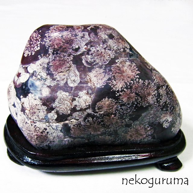 Nekoguruma Ver 0 0 1 V Twitter 春コーデ鉱物大会 この時期しか出番のない梅花石 ルースでも標本でもなく観賞石 こういう方向性の石の蒐集家さんや愛好家さんも何気に多いんです ま あたしは宝石のルース派ですが えっ 春コーデ こ ゆ んじゃないの 春 Nekoguruma Ver 0 0 1 V Twitter 春コーデ鉱物大会 この時期しか出番のない梅花石 ルースでも標本でもなく観賞石 こういう方向性の石の蒐集家さんや愛好家さんも何気に多いんです ま あたしは宝石のルース派ですが えっ 春コーデ こ ゆ んじゃないの 春