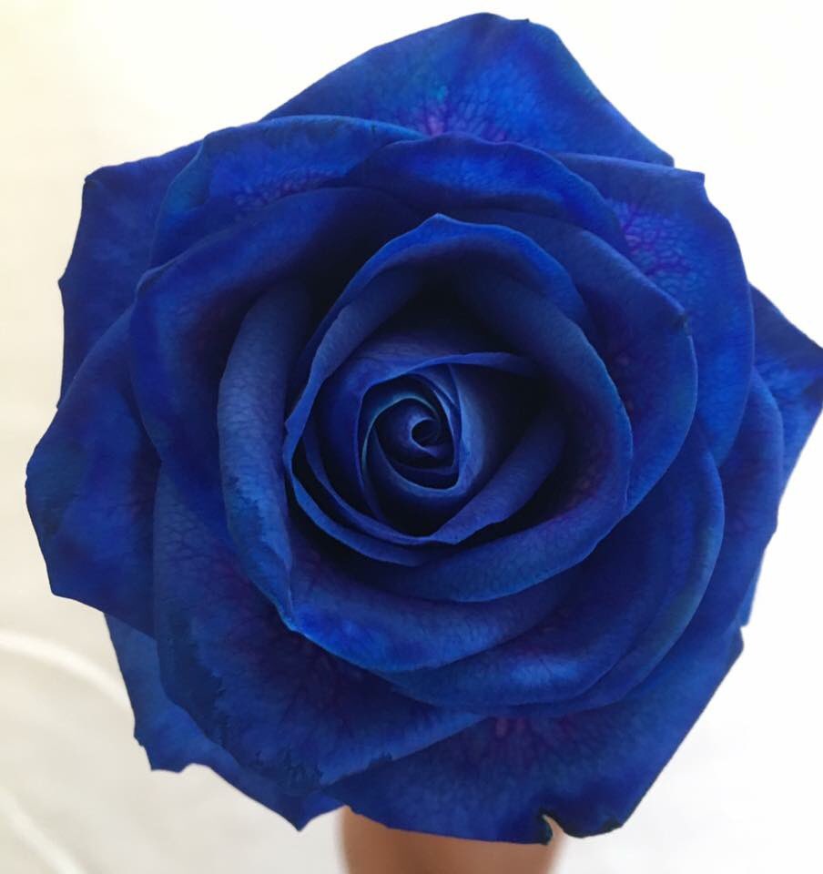 Happy birthday to my favourite man, love and miss you endlessly💙