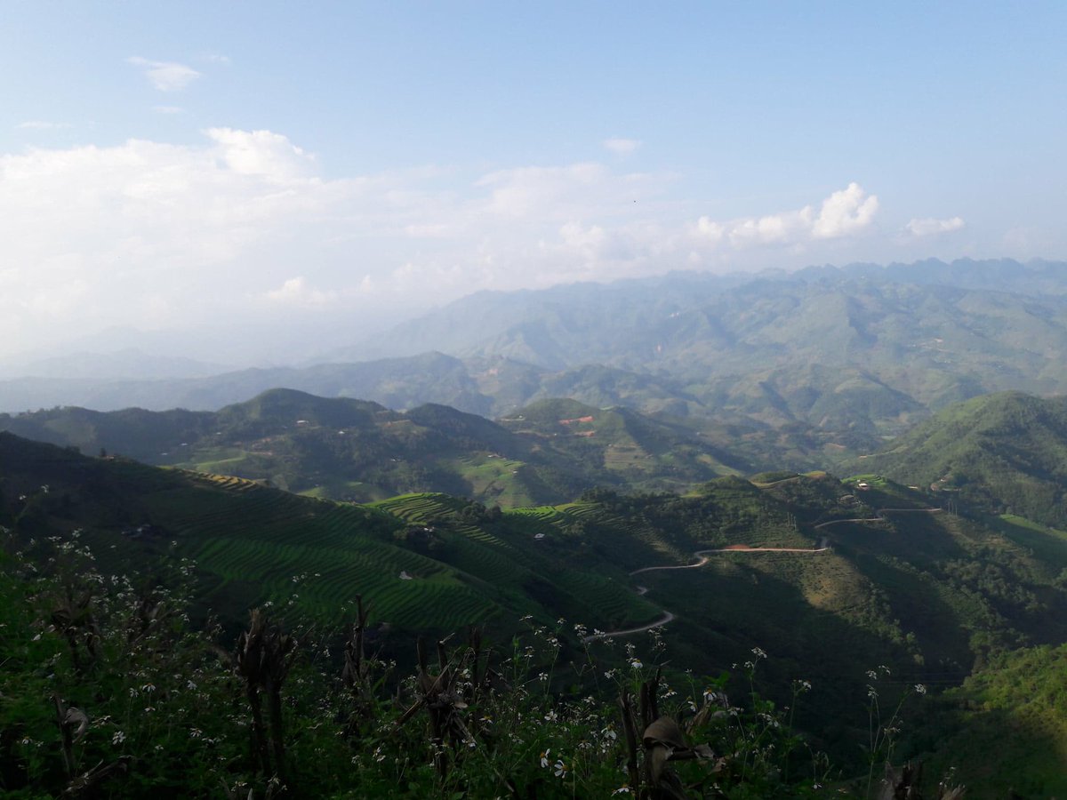 louis_jans's tweet photo. Traveling the world has made me more considerate, broadened my horizon, made me realize how priviliged we are, deepened my appreciation for nature, allowed me to experience new cultures, ...
#IEApplication https://t.co/c7aD3iq4oQ