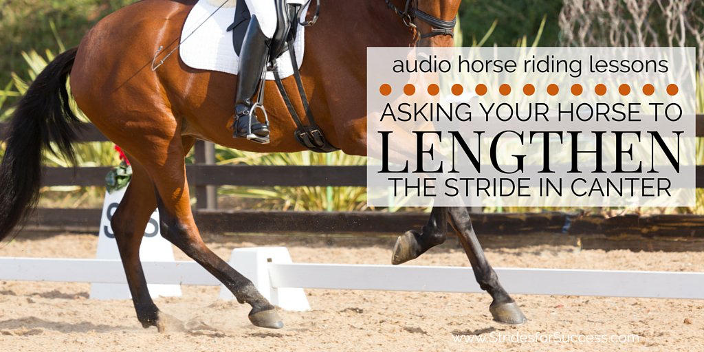LornaLeeson's tweet photo. Looking to lengthen your horses stride in canter; while balanced and in control? #Canter
https://t.co/f74cPibIyt https://t.co/hYmlea7yw1