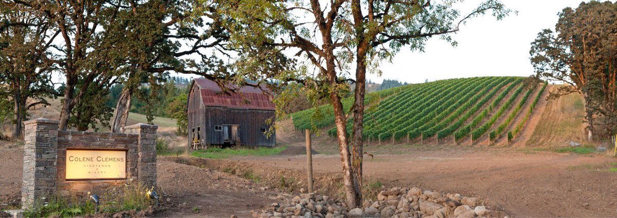 In 10 years of estate winemaking <a href="/ColeneClemens/">Colene Clemens</a> has never made a single block designate wine—until now. The Homestead Block, planted to Pommard, is the source for their Auction lot this year. To learn more, check out willamettewines.auction/instapinot #wvauction2018 #wvwines