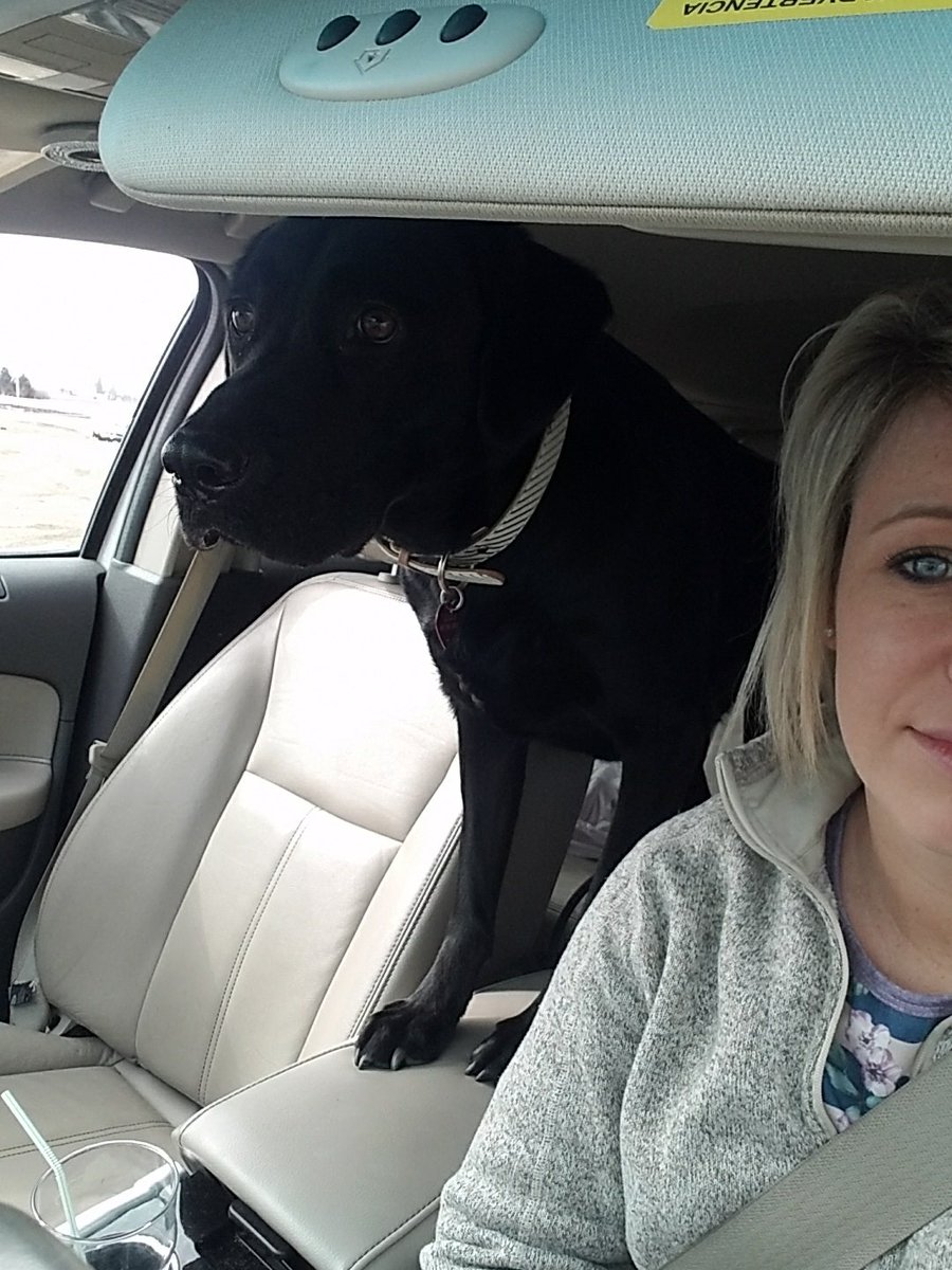 hillsanders01's tweet photo. Dales as impressed as I am about how many hours of our life are spent "waiting on Mel" #alwayslate #yearsofmylife @melissafisher60 https://t.co/GGCbQsuGlM