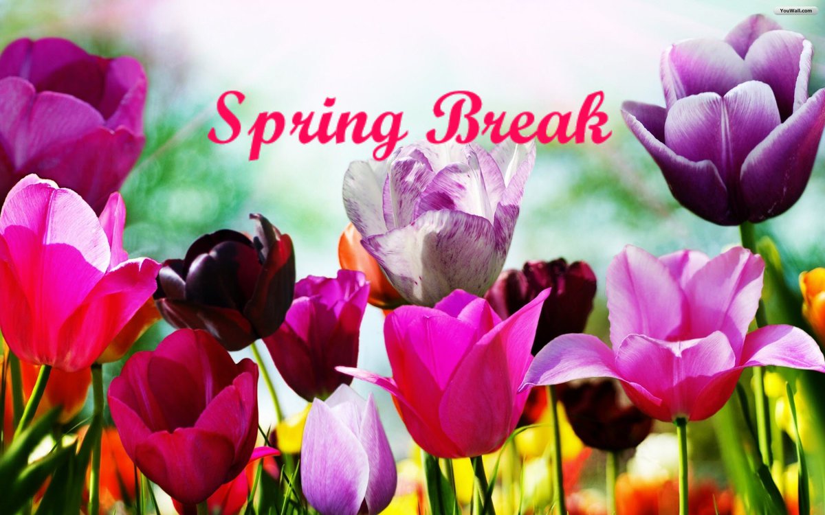 LSFLChicago's tweet photo. Happy Spring Break, everyone!!! Just a reminder that we will not be meeting over spring break! Hope everyone has a fantastic break! https://t.co/gxqwedVOG3