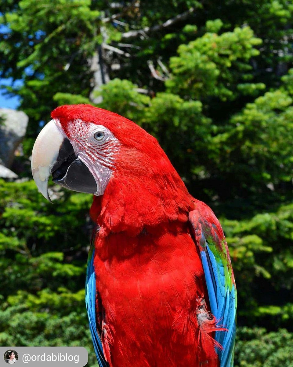 《Fotoğraf: @ordabiblog》
•Fotoğraflarınıza #YUFOK etiketini ekleyin veya bizi (@yufokofficial) etiketleyin, siz de sayfamızda yer alma şansını elde edin 😉 📷