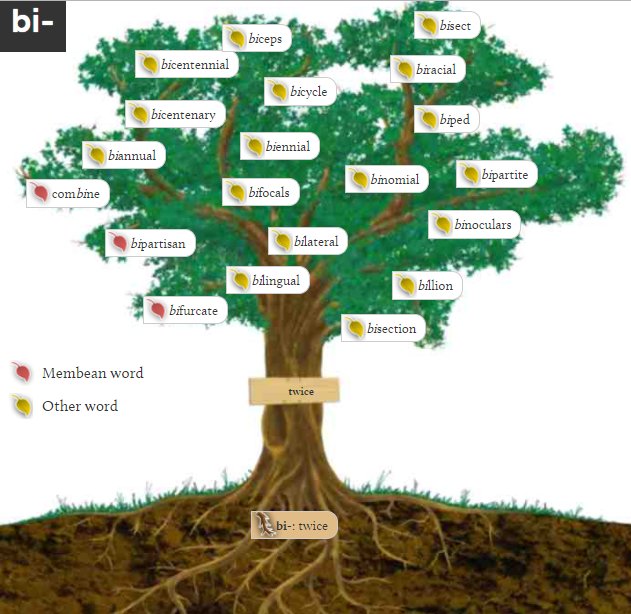 mathsjem's tweet photo. Interactive trees for exploring (mathematical) vocabulary with students. https://t.co/lKg8seJNLi

Last time I taught percentages I asked students where else they hear/use the word cent. Great answers! And the word oval always leads to good discussions too... https://t.co/CtgWhlPm2b