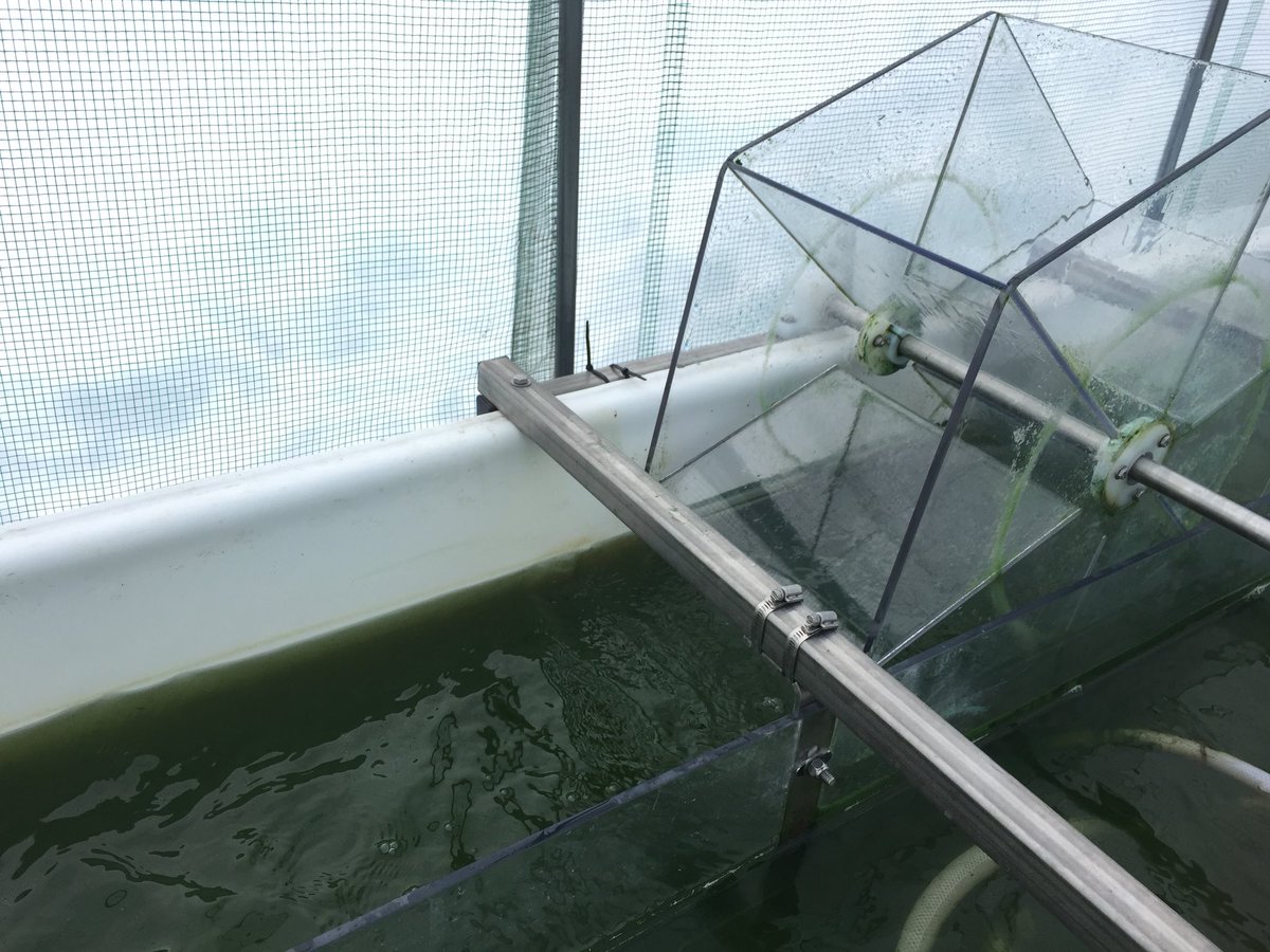 ElinLindehoff's tweet photo. Algal sampler on call for the day😊 50cm of snow outside, but inside the tent the algae keep growing!#Algoland @marine_eco_lnu https://t.co/32yhs1IuOr